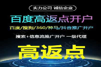 电商平台的关键词竞价排名：销售增长的秘诀